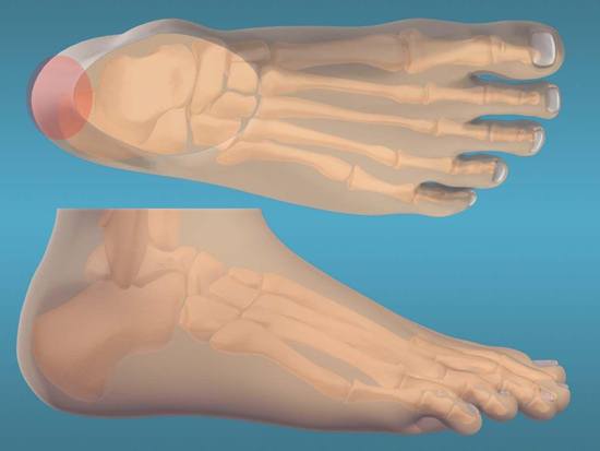 The Interactive Foot and Ankle